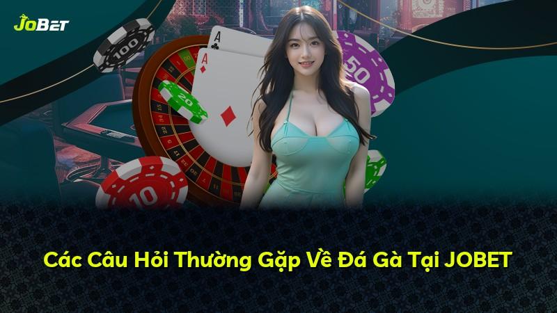 Các Câu Hỏi Thường Gặp Về Đá Gà Tại JOBET