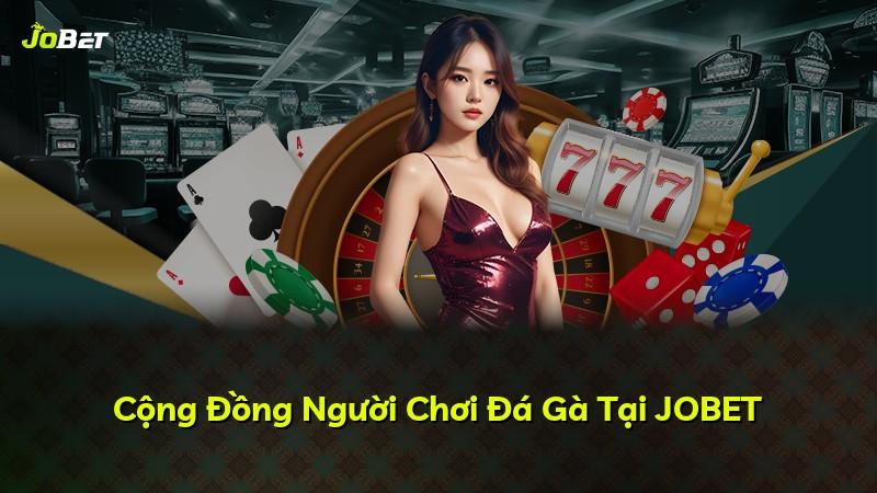 Cộng Đồng Người Chơi Đá Gà Tại JOBET