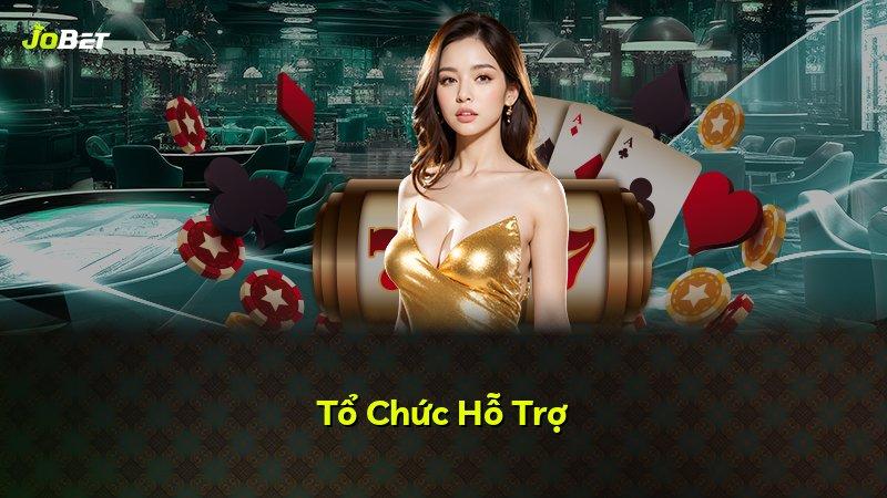 Tổ Chức Hỗ Trợ